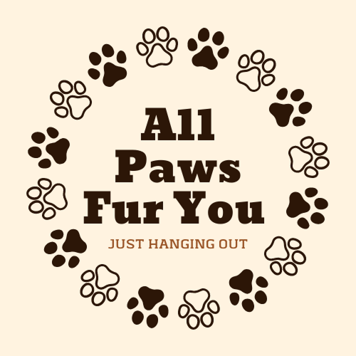 All Paws Fur You